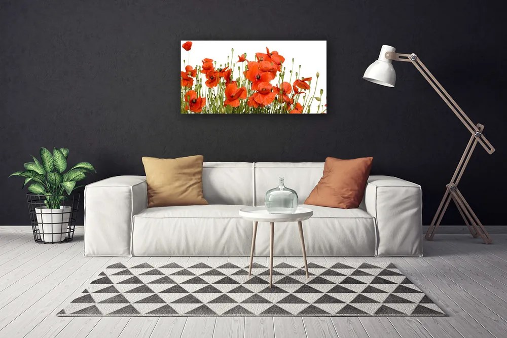 Obraz na płótnie Polne Maki w Słońcu