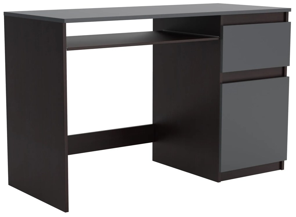 Biurko komputerowe młodzieżowe szkolne 120 cm REMI1 Wenge/Antracyt