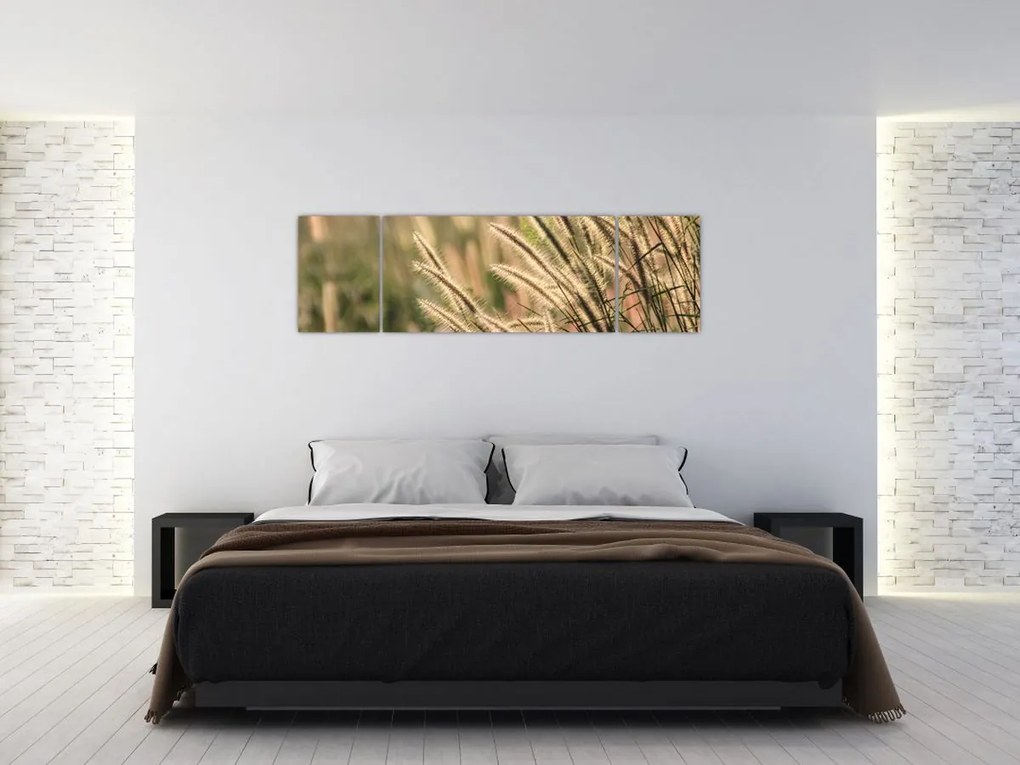 Obraz - Ziarno (170x50 cm)