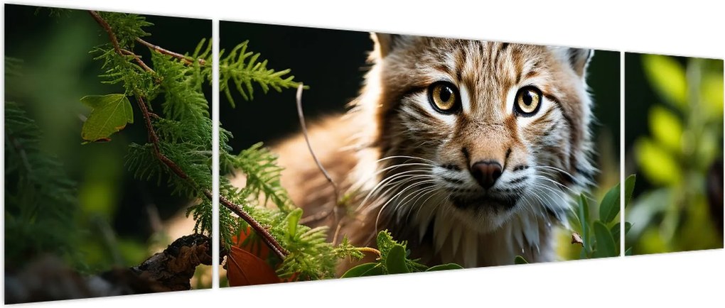 Obraz - Rysunek (170x50 cm)