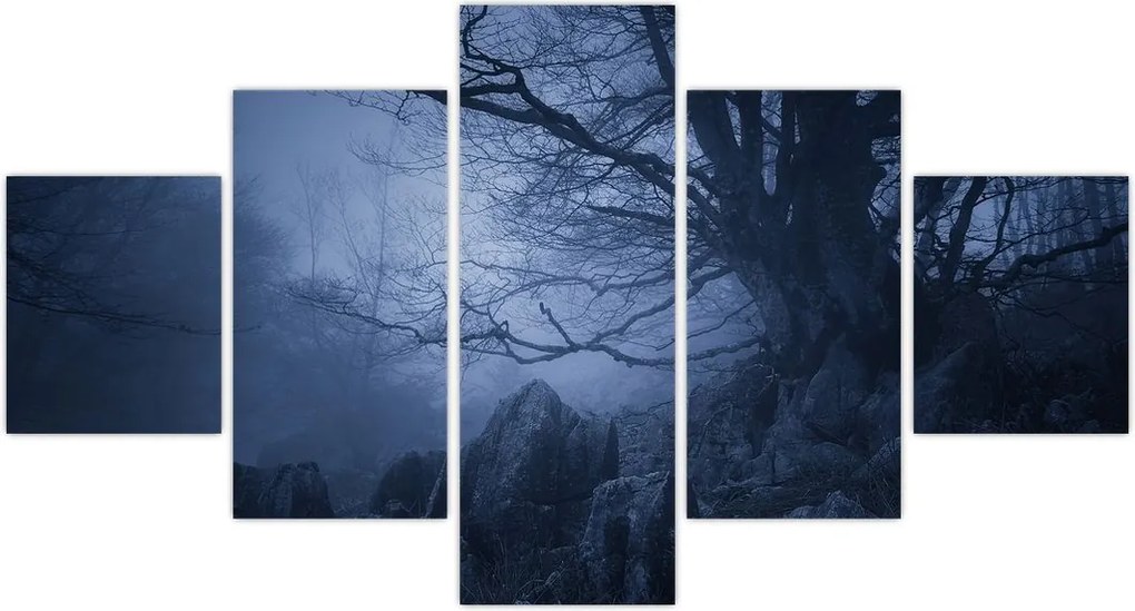 Obraz ciemnego lasu (125x70 cm)