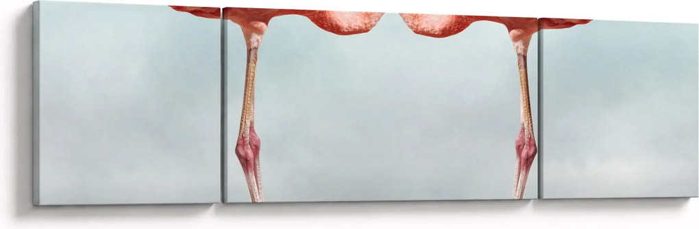 Obraz dwóch flamingów (170x50 cm)