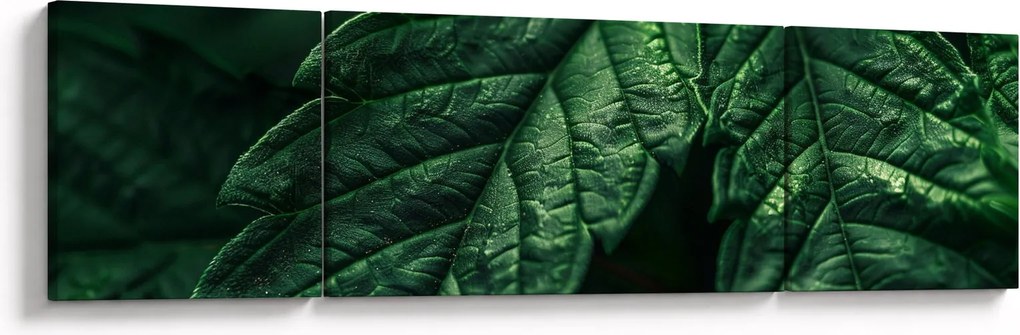 Obraz - Szczegół arkusza (170x50 cm)