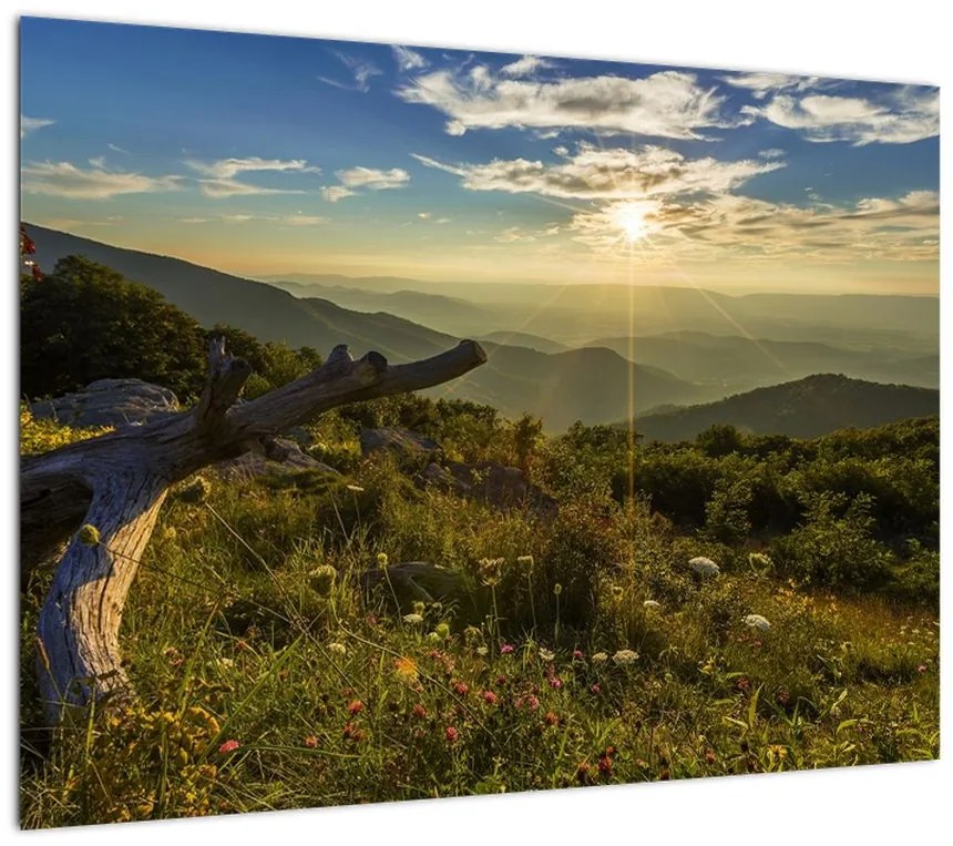 Obraz - Widok na otoczenie (70x50 cm)
