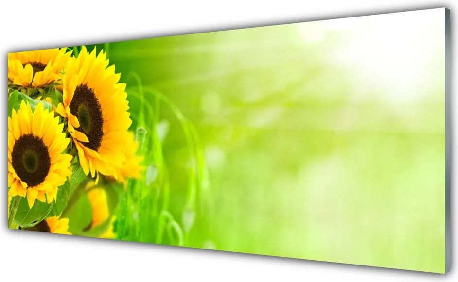 Panel Kuchenny Złociste Słoneczniki Pod Niebem