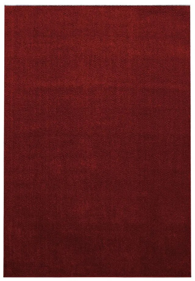 Bordowy dywan 200x290 cm Ata – Ayyildiz Carpets
