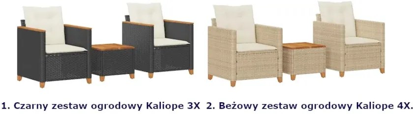 Zestaw mebli ogrodowych z poduszkami - Jornin 3X