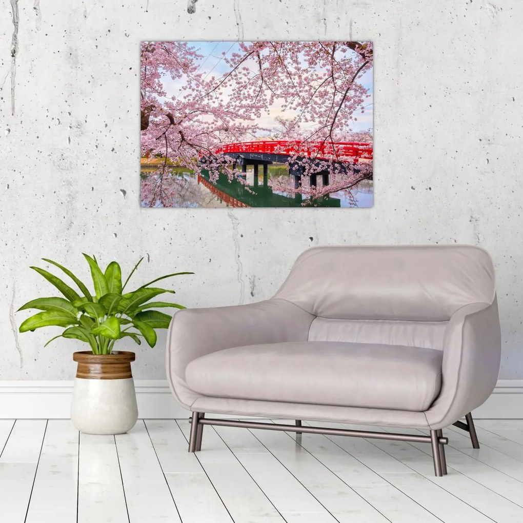 Obraz - Hirosaki, Japonia (70x50 cm)