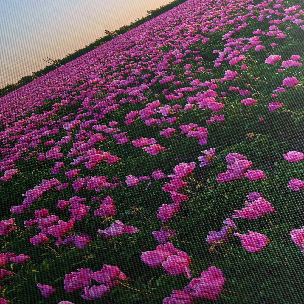 Obraz - Łąka fioletowych tulipanów (z zegarem) (90x30 cm)