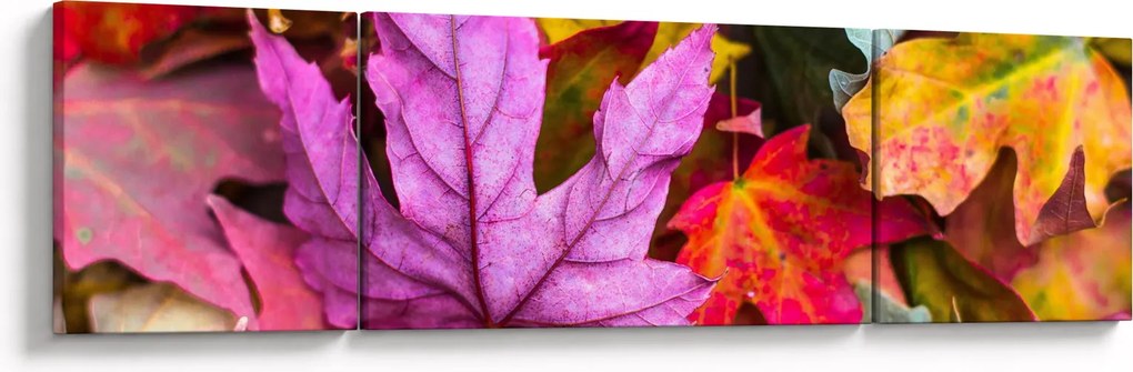 Obraz - jesienne liście (170x50 cm)