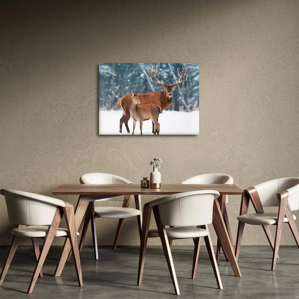 Obraz Jelenia z łanią (70x50 cm)