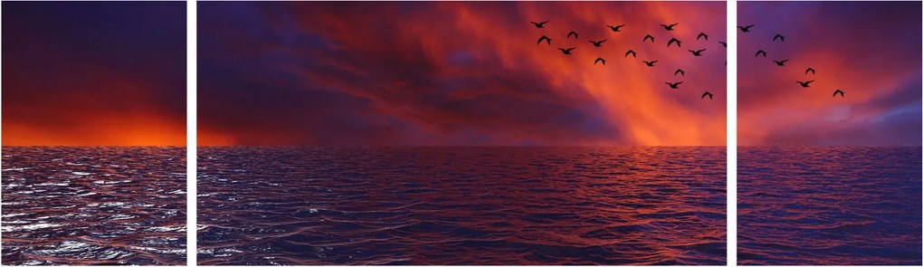 Obraz morza z ptakami (170x50 cm)