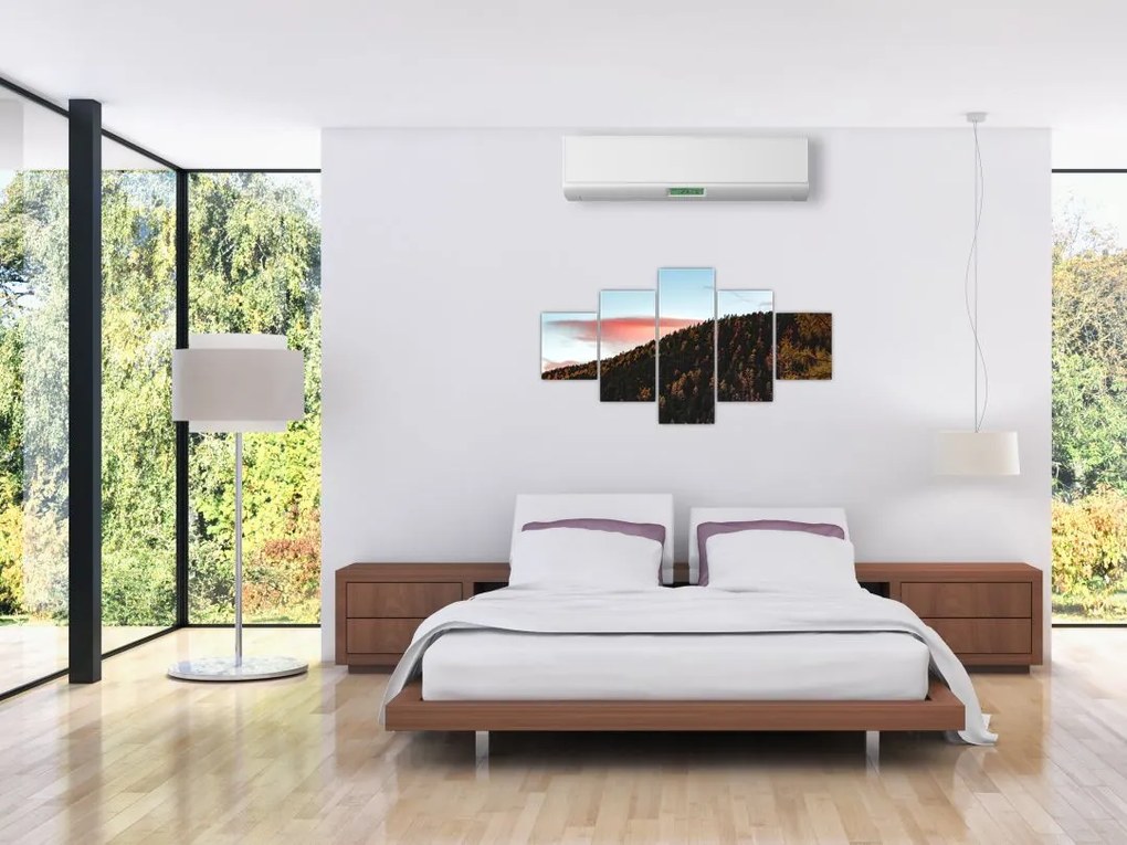 Obraz rudzików nad wzgórzem (125x70 cm)