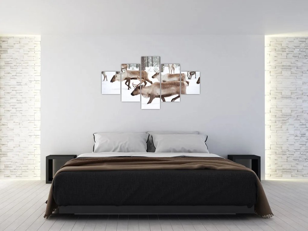 Obraz - Renifer (125x70 cm)