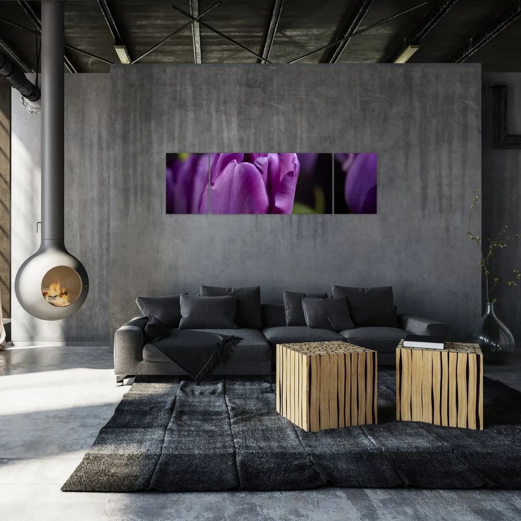 Obraz kwiatów tulipanów (170x50 cm)