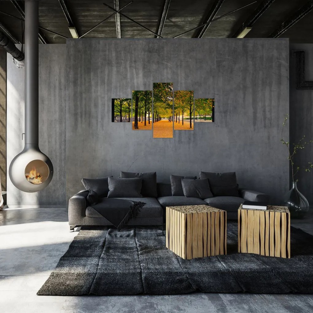 Obraz alei jesiennych drzew (125x70 cm)