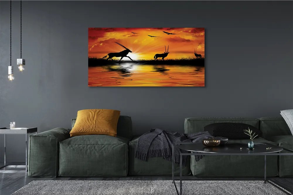 Zdjęcie na płótnie Ptaki nad Jeziorem o Zachodzie