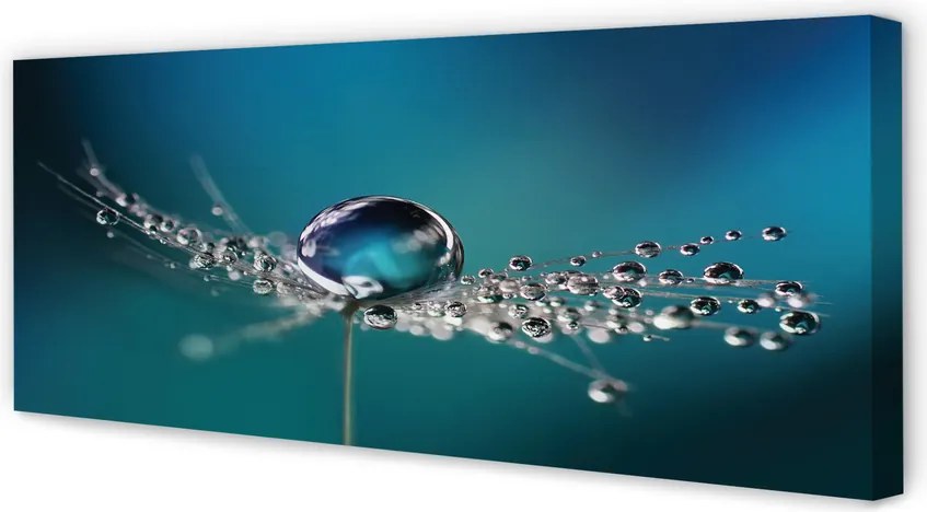 Obraz canvas na ścianę Makro Dmuchawca z Rosą