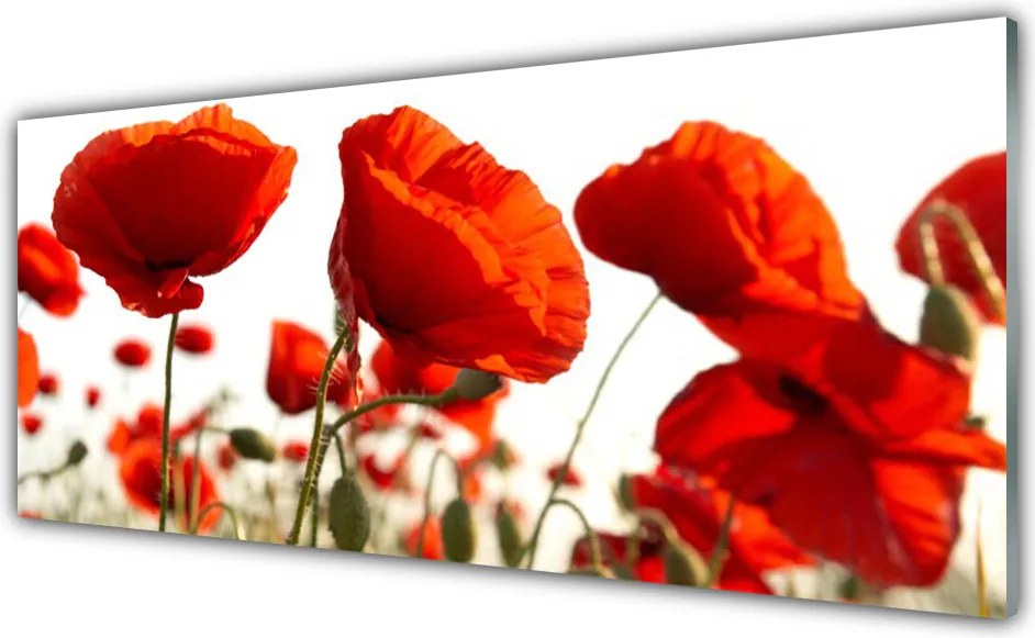 Szkło Dekoracyjne do Kuchni Barwne Pole Tulipanów