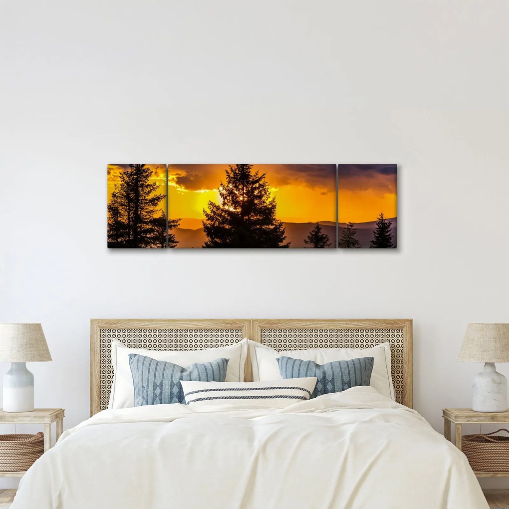 Obraz - drzewa iglaste (170x50 cm)