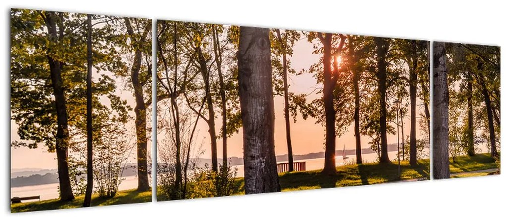 Obraz drzew nad jeziorem (170x50 cm)