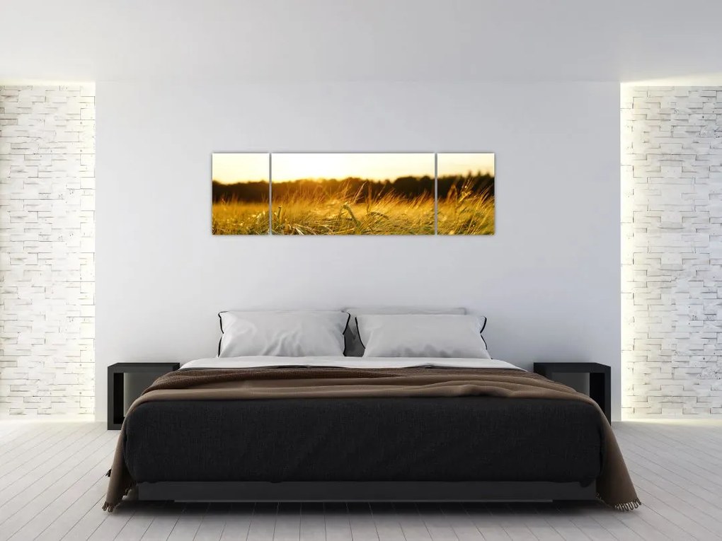 Obraz zroszonej trawy (170x50 cm)