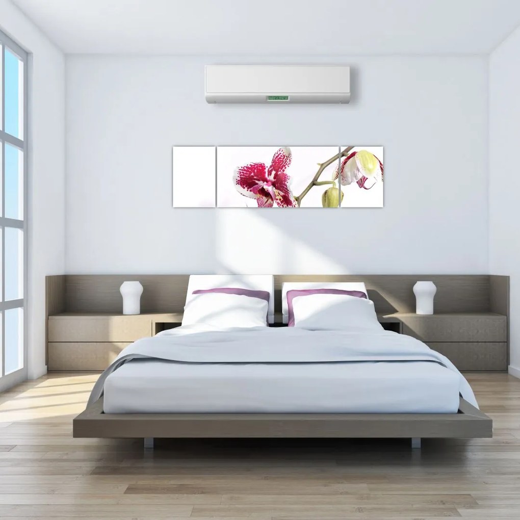Obraz kwiatu orchidei (170x50 cm)