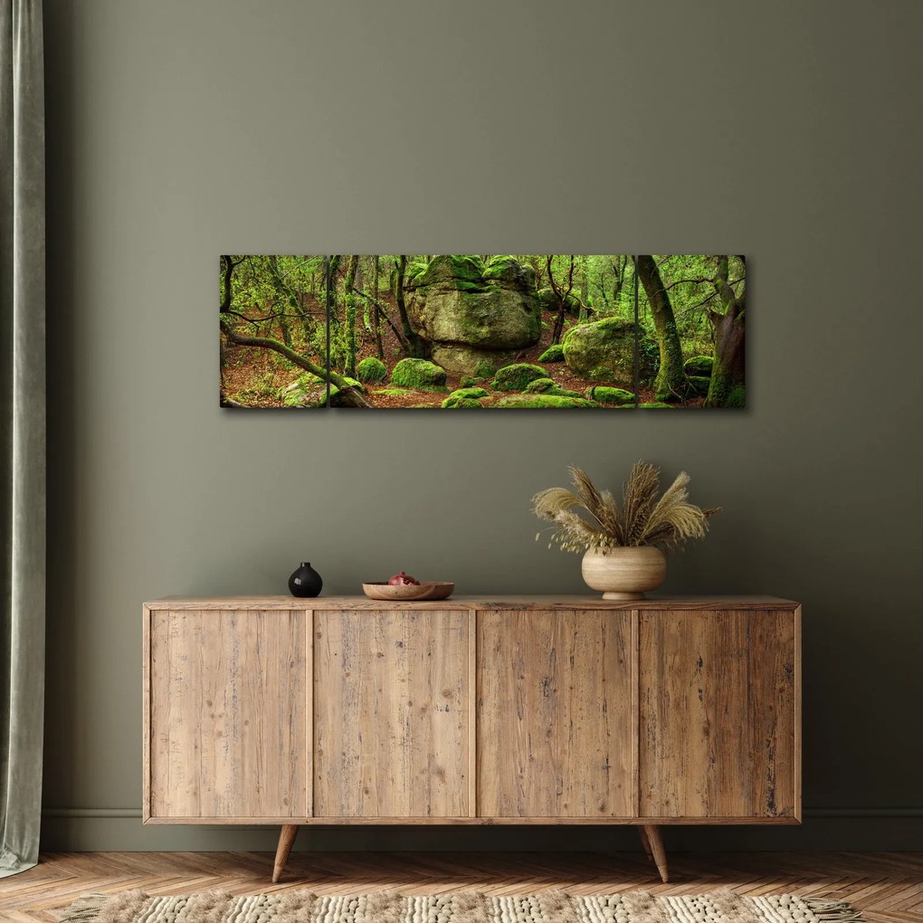 Obraz magicznego lasu (170x50 cm)