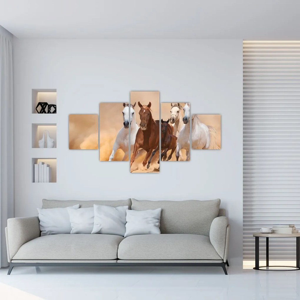 Obraz - Stado koni (125x70 cm)