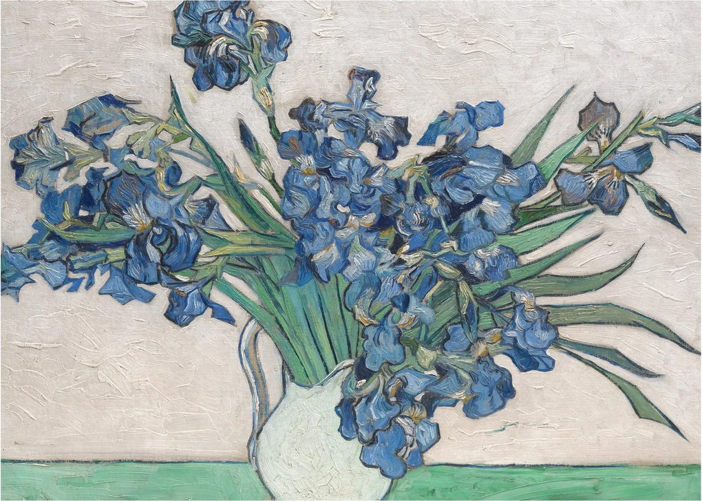 Obraz - Vincent van Gogh, Irises, reprodukcje (70x50 cm)