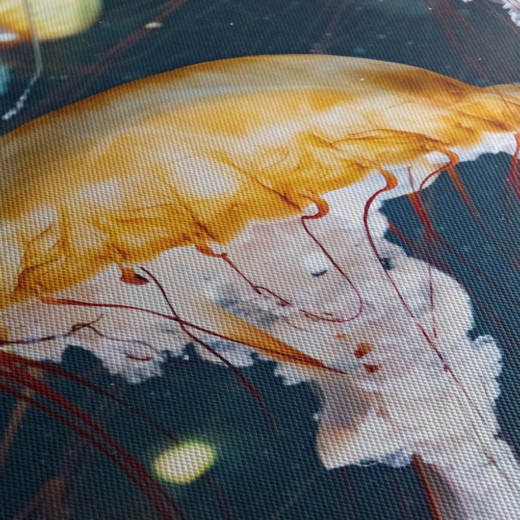 Obraz meduzy (125x70 cm)