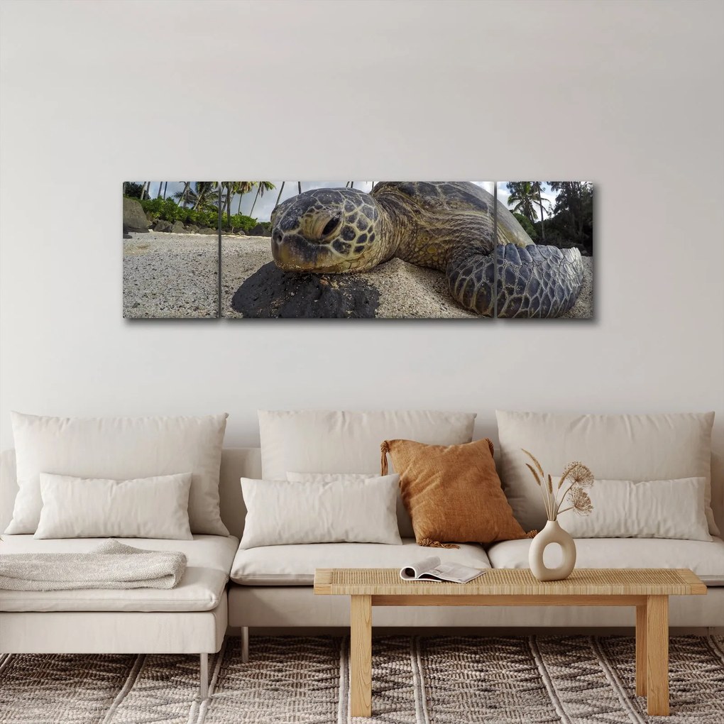 Obraz żółwia (170x50 cm)