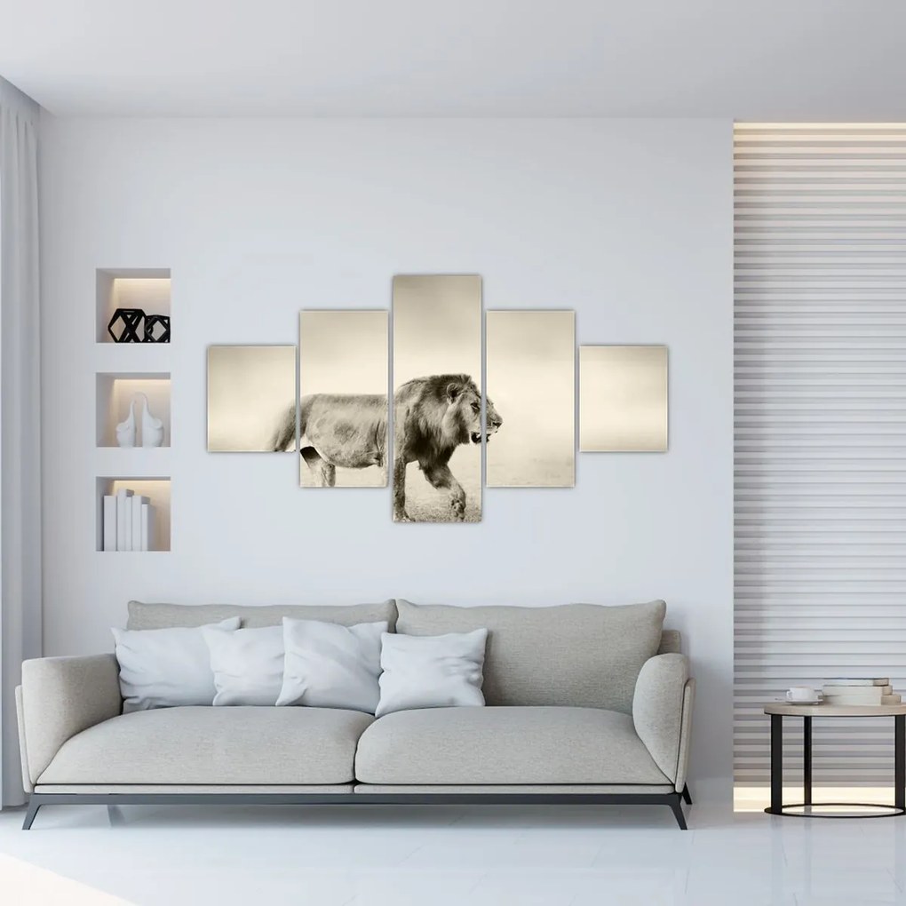 Obraz - Głodny lew (125x70 cm)