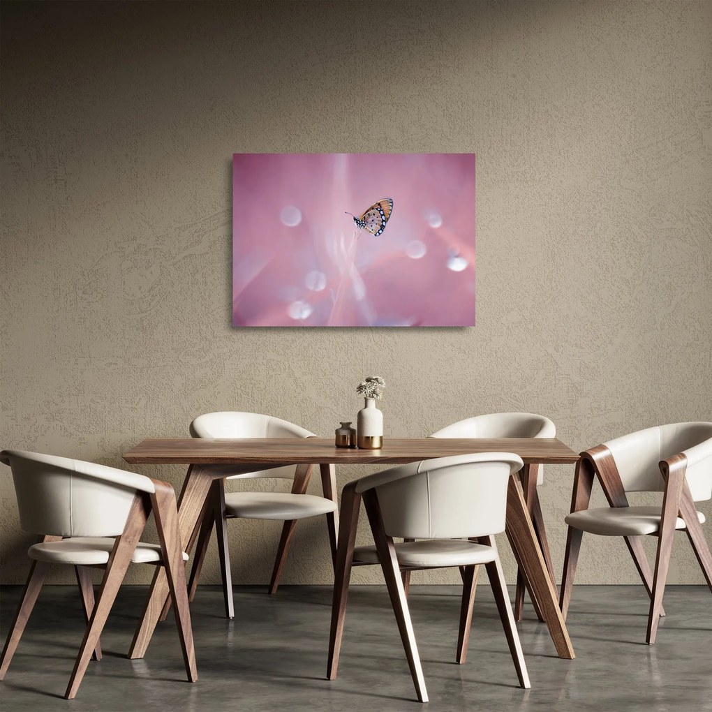 Obraz na szkle - Motyl (70x50 cm)
