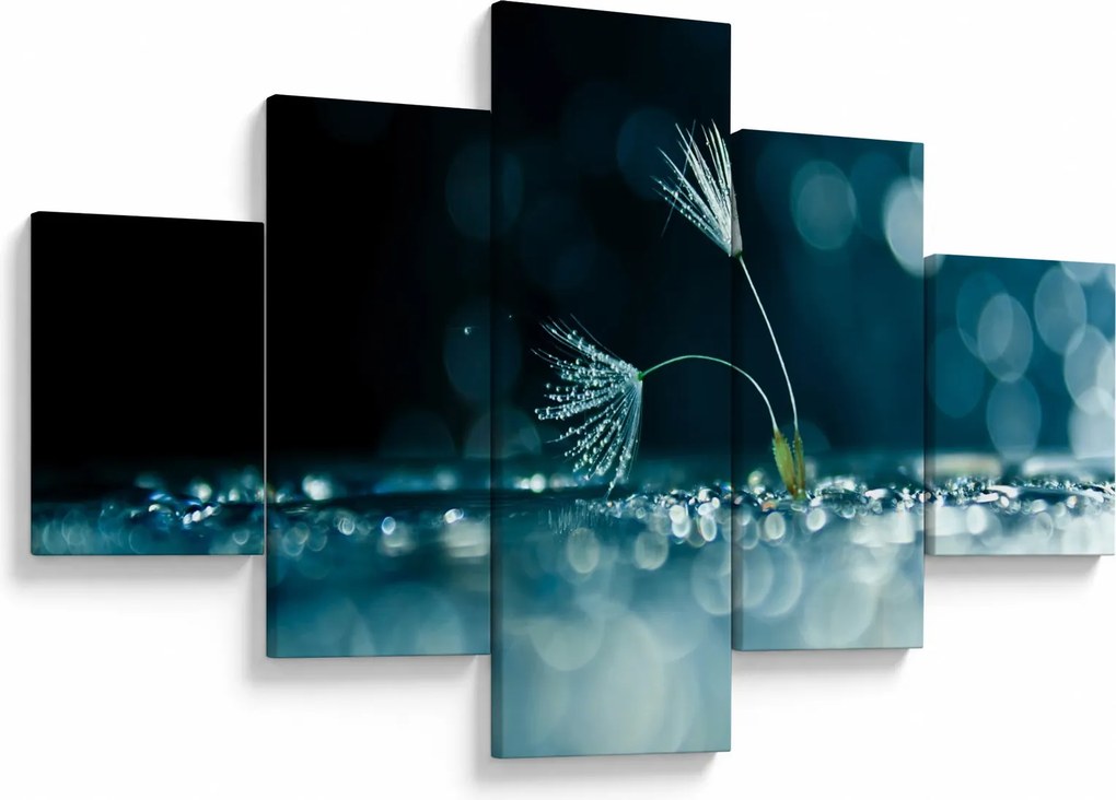 Obraz - Makro (125x70 cm)
