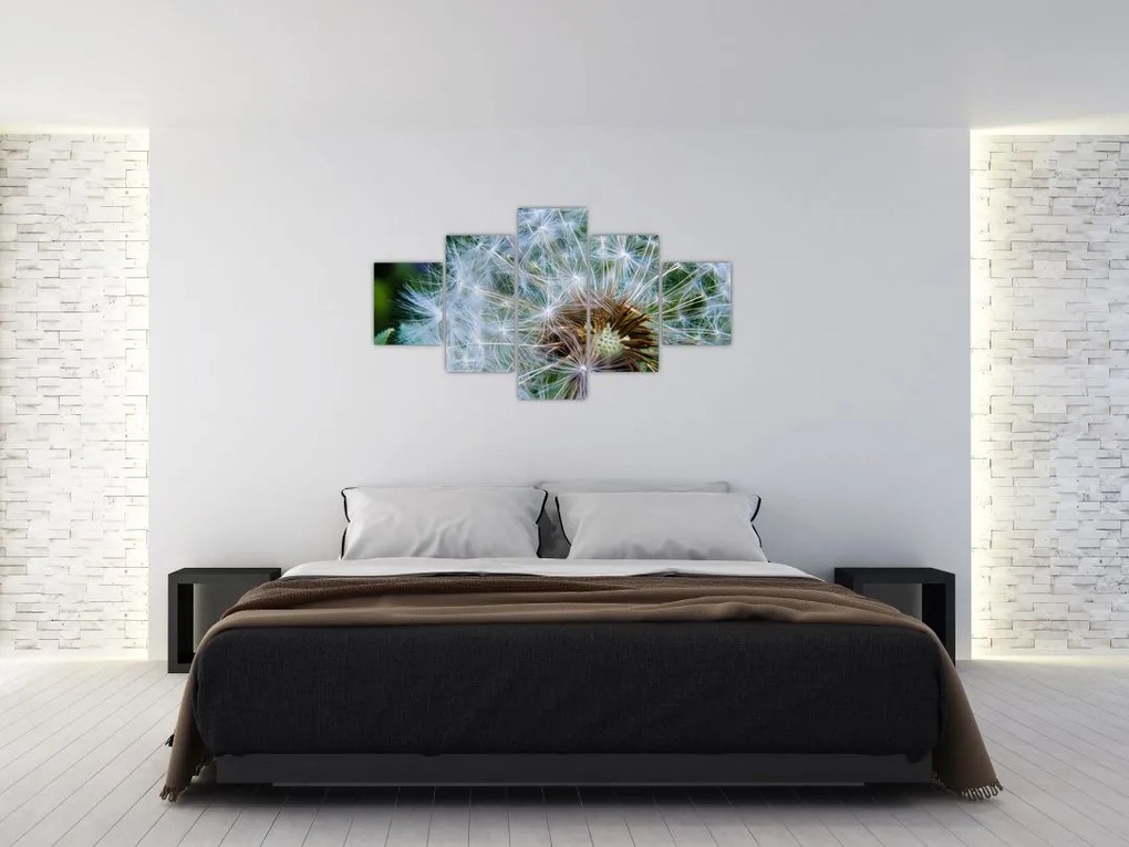 Obraz przekwitniętego dmuchawca (125x70 cm)