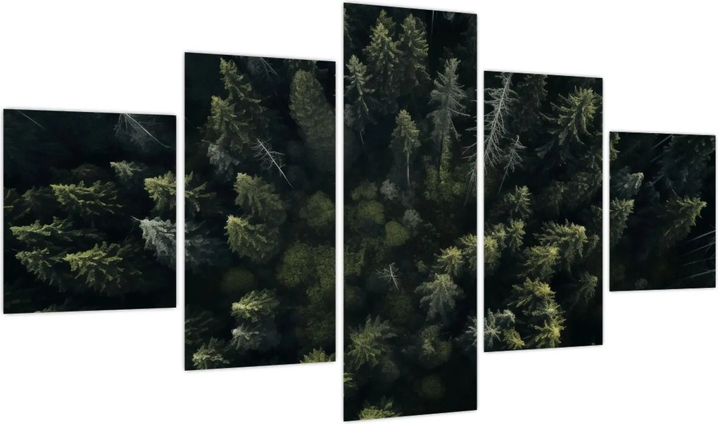 Obraz - Las (125x70 cm)