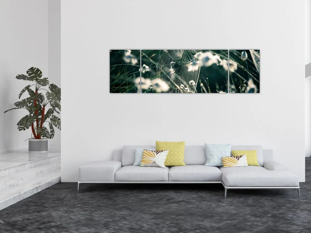 Obraz - Pajęczyna (170x50 cm)