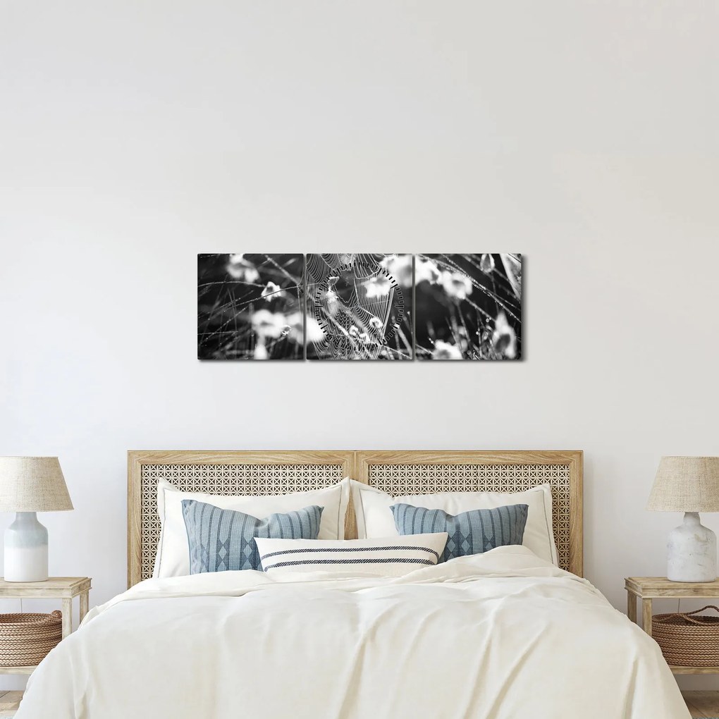 Obraz - Pajęczyna na łące (z zegarem) (90x30 cm)