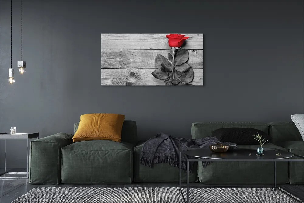 Obraz na płótnie Pojedyncza Czerwona Róża