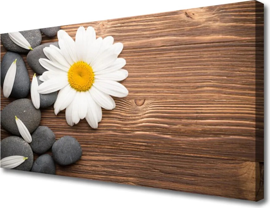 Obraz canvas Biała Stokrotka w Detalu