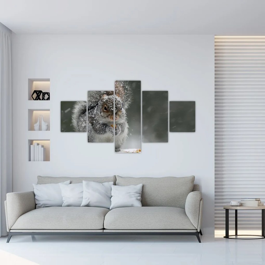 Obraz - Wiewiórka zimą (125x70 cm)