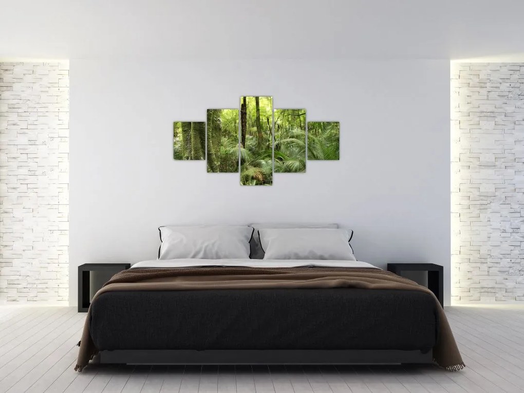 Obraz tropikalnego lasu deszczowego (125x70 cm)