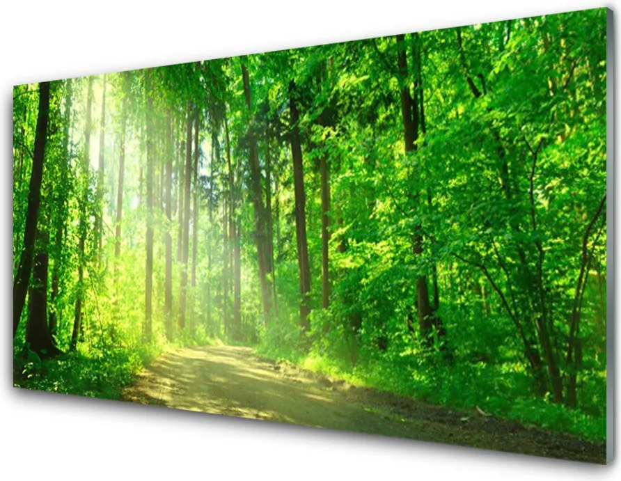 Szkło do Kuchni na Ścianę Ścieżka W Głębi Lasu