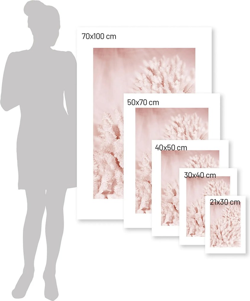 Plakat Pastel Pink II
