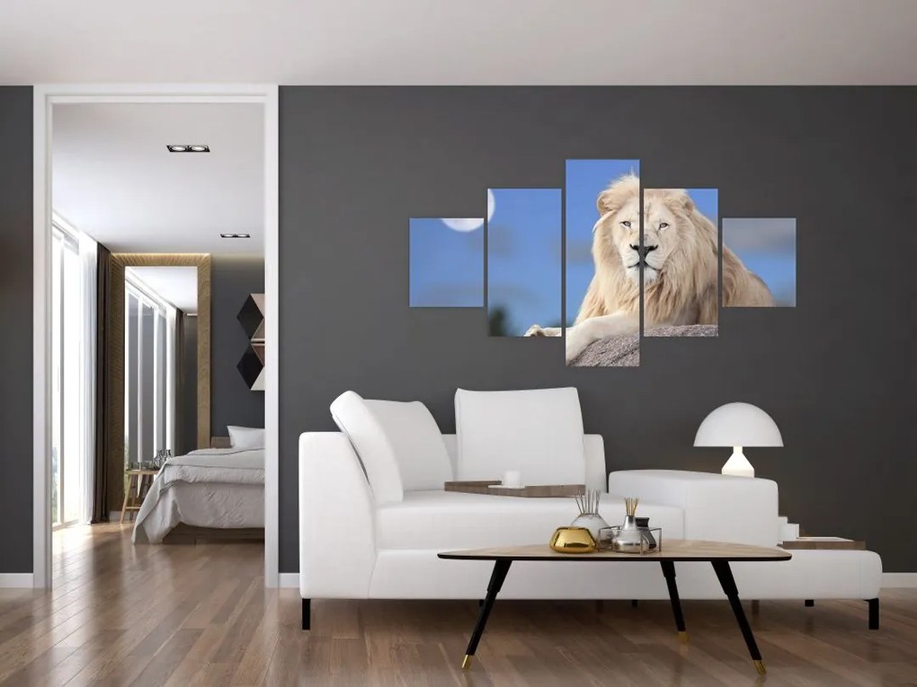 Obraz - Biały lew (125x70 cm)