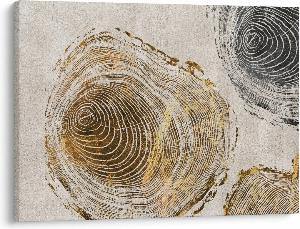 Obraz - Abstrakcja pnia (70x50 cm)