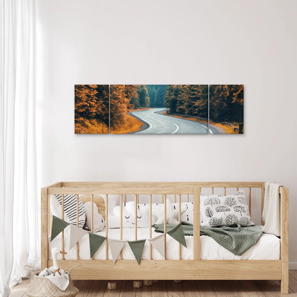 Obraz - Kręta droga (170x50 cm)