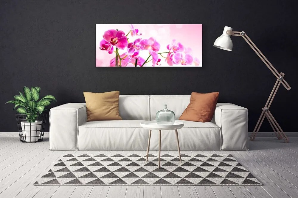 Obraz Canvas Kwiaty Roślina Natura