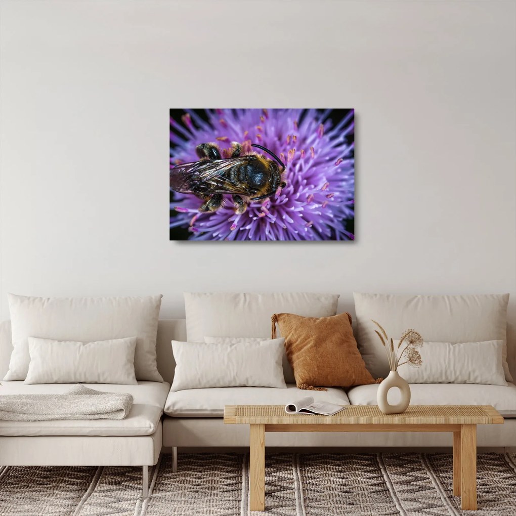 Obraz na szkle - pszczoła na kwiatku (70x50 cm)